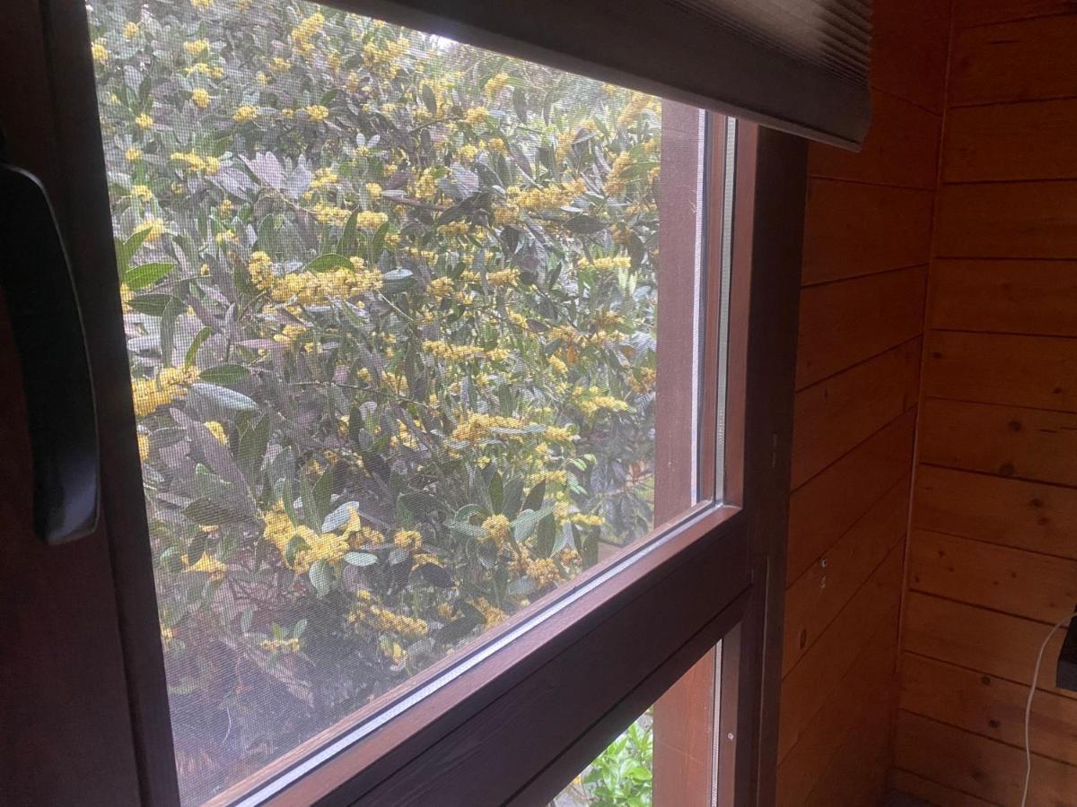 Apartamentos El Bosquet Sant Cugat del Vallès Dış mekan fotoğraf
